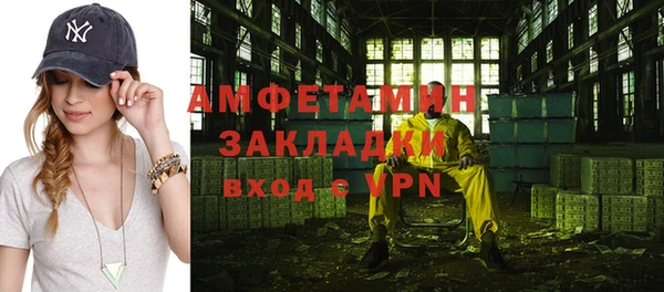прущие грибы Богородицк