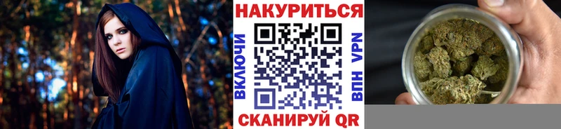 Купить где Нефтекумск Бошки марихуана SATIVA & INDICA